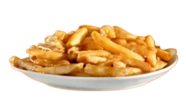 Cajun Gravy Fries
